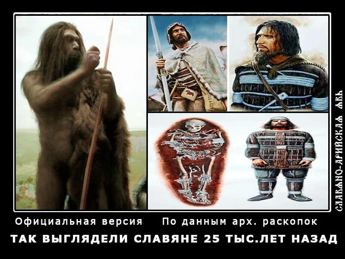 Как на самом деле выглядели славяне Ответы : Этимология слова--береза Этимология слова--береза