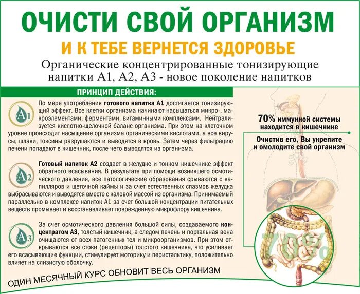 Последовательность очищения. Чистка организма. Способы очистки организма. Как очистить организм. Чистка организма схема.