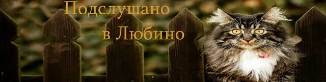 Подслушано в школе. Подслушано ава. Венев подслушано. Подслушано любина. Подслушано 2.