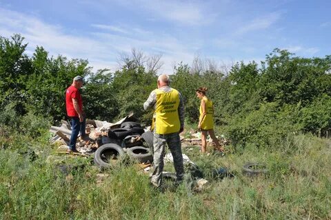 Волгоградское лесничество