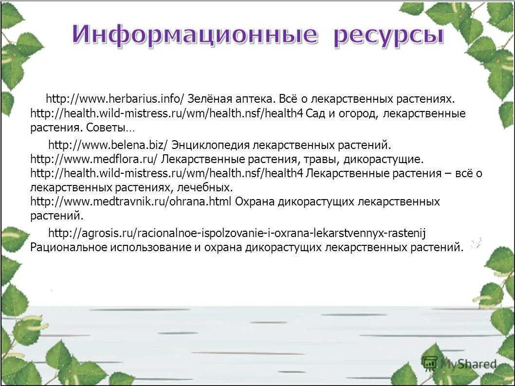 почему надо охранять дикорастущие растения