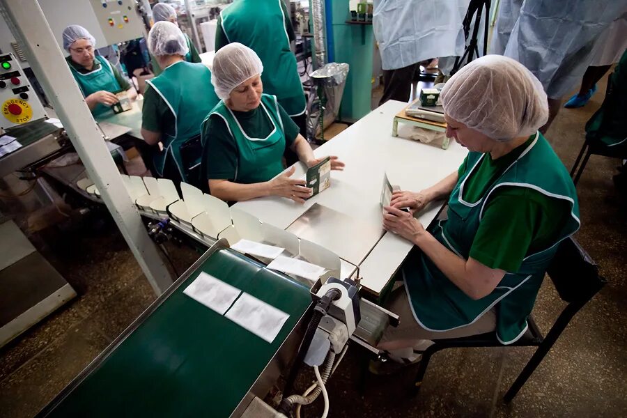 упаковщик маркировщик. человек на складе. зефир фабрики. упаковщица чая. упаковщик в цех.