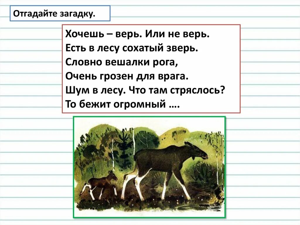 Расписание лось александров. Изложение лосиха и лосенок. Изложение Лось и лосёнок. Лосиха и лосенок изложение 4 класс. Изложение на тему лосиха и лосенок.