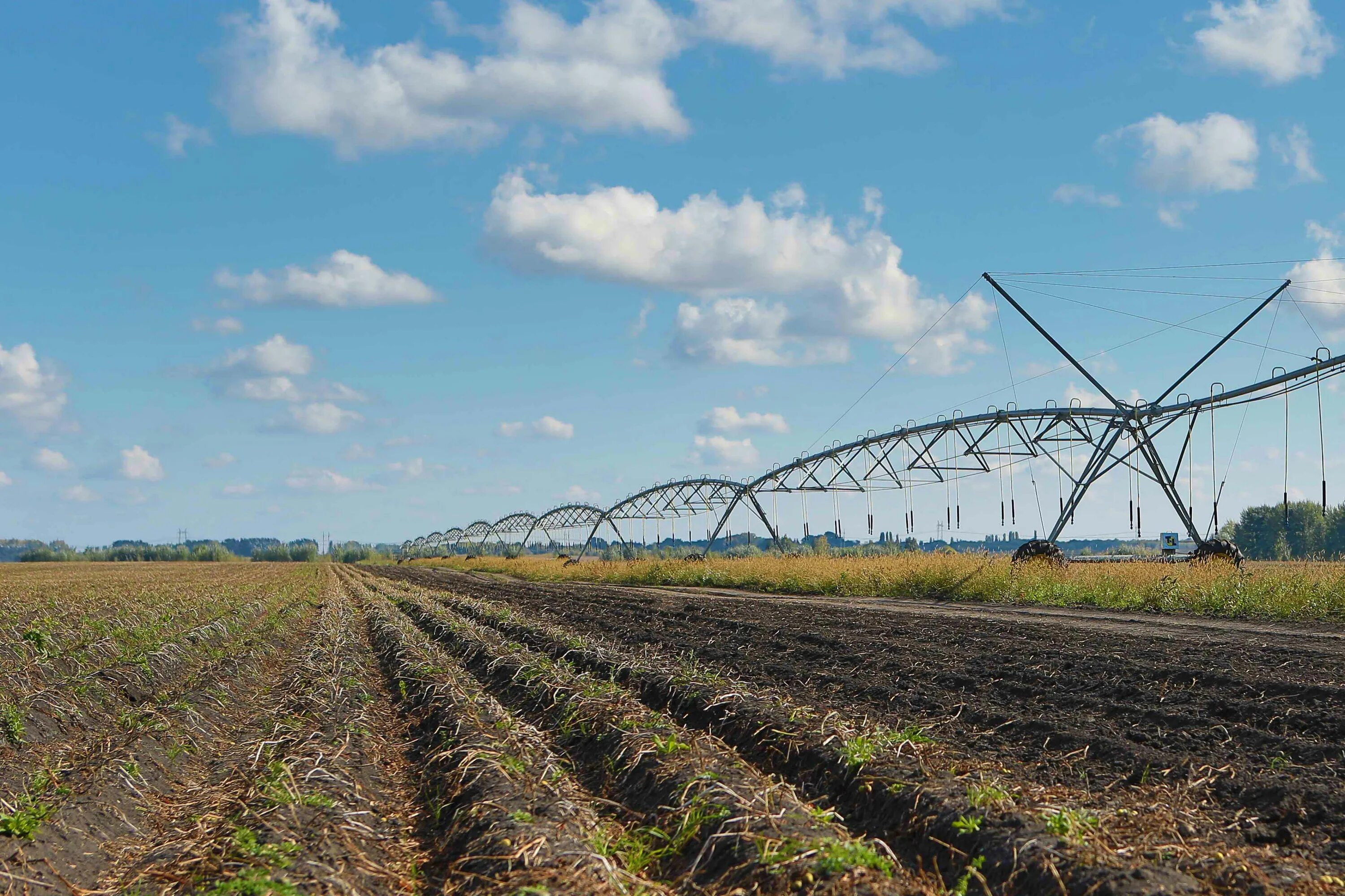 проект мелиорации земель сельскохозяйственного