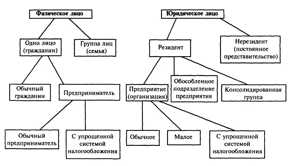 Список юридических слов. Виды физических лиц. Виды налогоплательщиков. Виды физических и юридических лиц. Понятие и виды налогоплательщиков.