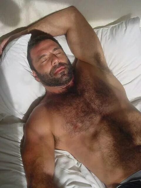 Sleeping hairy. Hairy men Sleep. Daddy Bear Sleep.