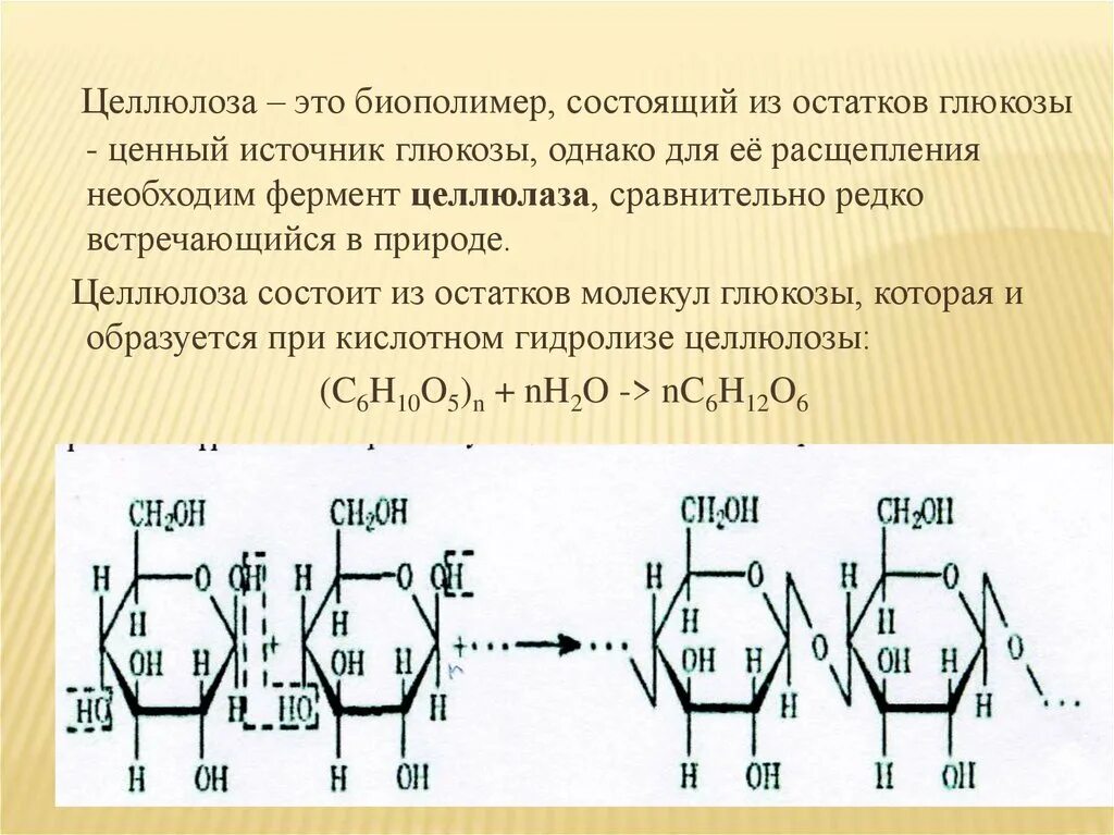 Целлюлоза. Целлюлоза состоит. Целлюлоза строение. Молекула целлюлозы состоит из остатков.