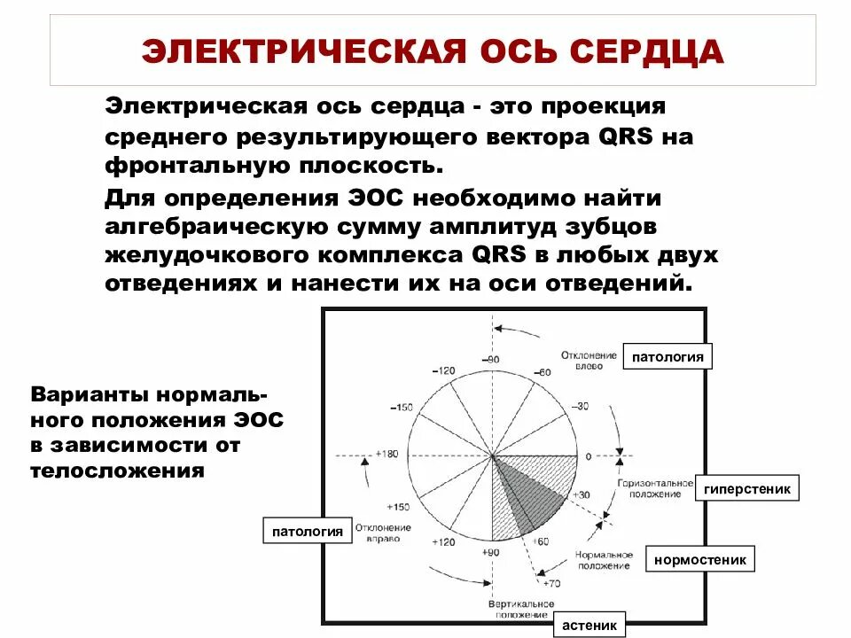 Как определить ось сердца. Эос ось сердца. алгебраическая сумма электрической оси сердца. электрическая ось сердца физиология. электрическая ось сердца определение ее положения.