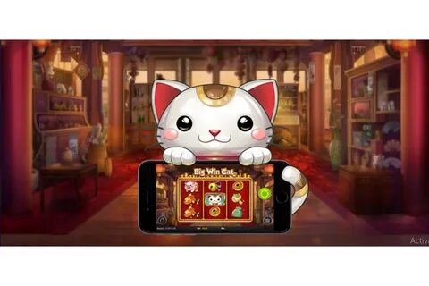 Win cat