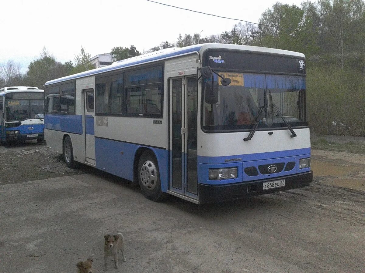 Daewoo bs106 Busan. Автобус Дэу. Аэросити автобус. 127 Автобус.