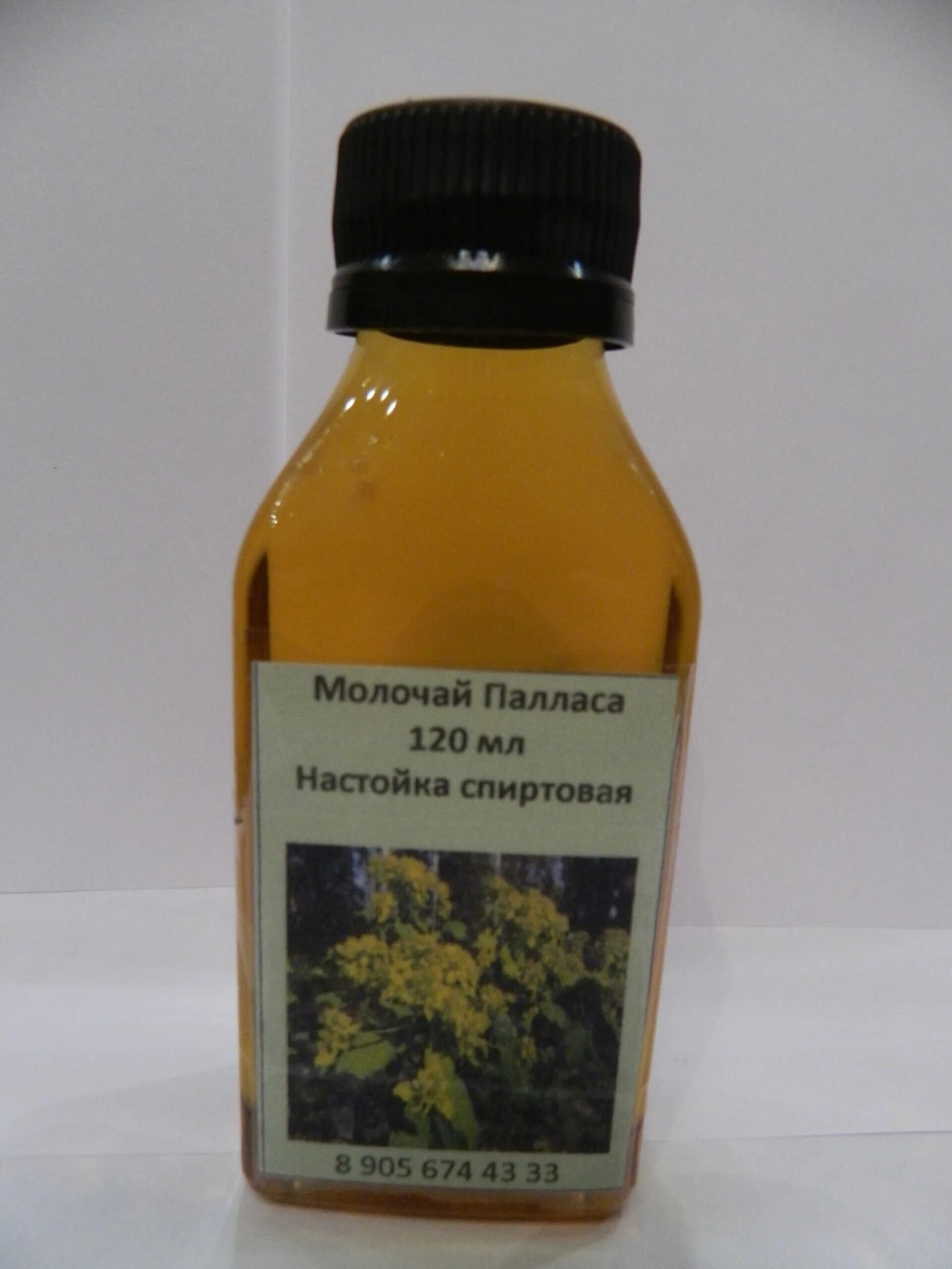 Молочай палласа фишера. Молочай палласа мужик корень. Настойка молочая палласа. Настой из красного корня. Настойка молочая палласа.