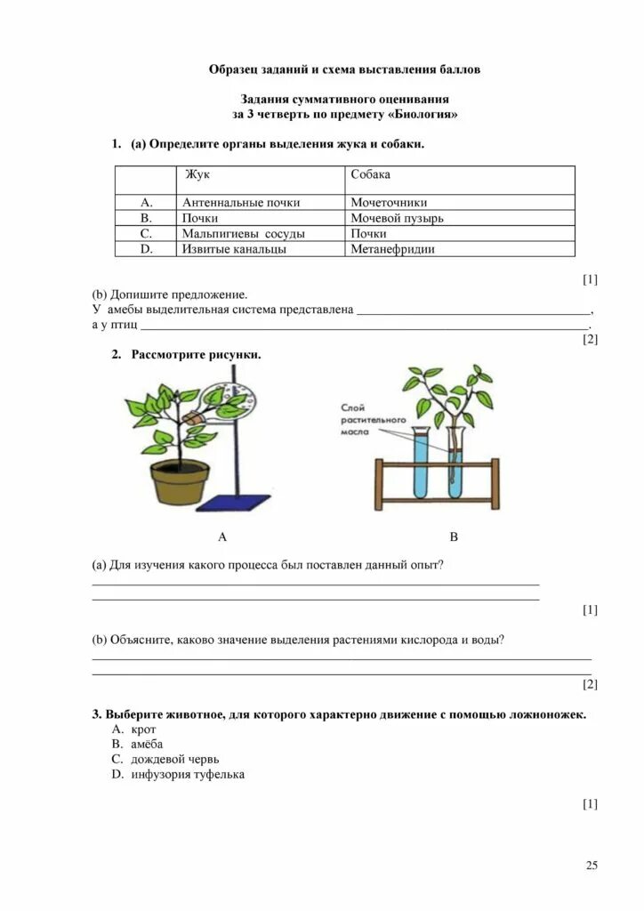 Кр по биологии 4 четверть 6 класс 3 фгос. Биология 6 контрольная работа за четверть 4. Биология 4 четверть. Соч по биологии 7 класс по биологии. Биология 4 четверть.