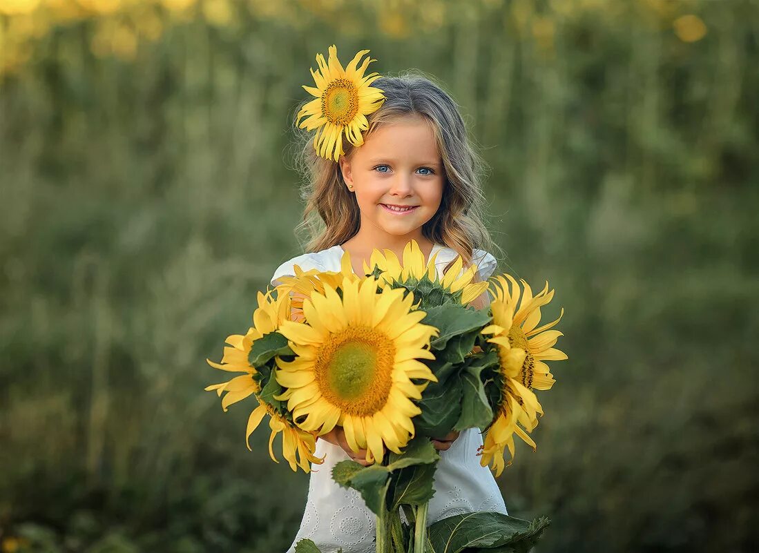 поле подсолнухов. девочка подсолнух. девушка в подсолнухах. подсолнух для детей. девочка в поле подсолнухов.