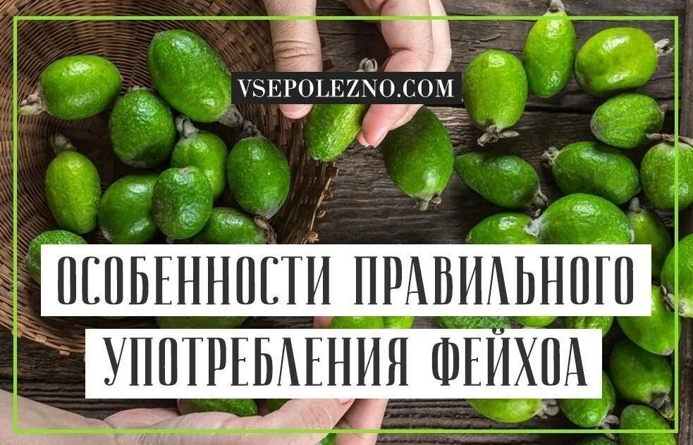 Как хранить фейхоа. Кожура фейхоа. фейхоа зелень. фейхоа разрезанный. гнилая фейхоа.