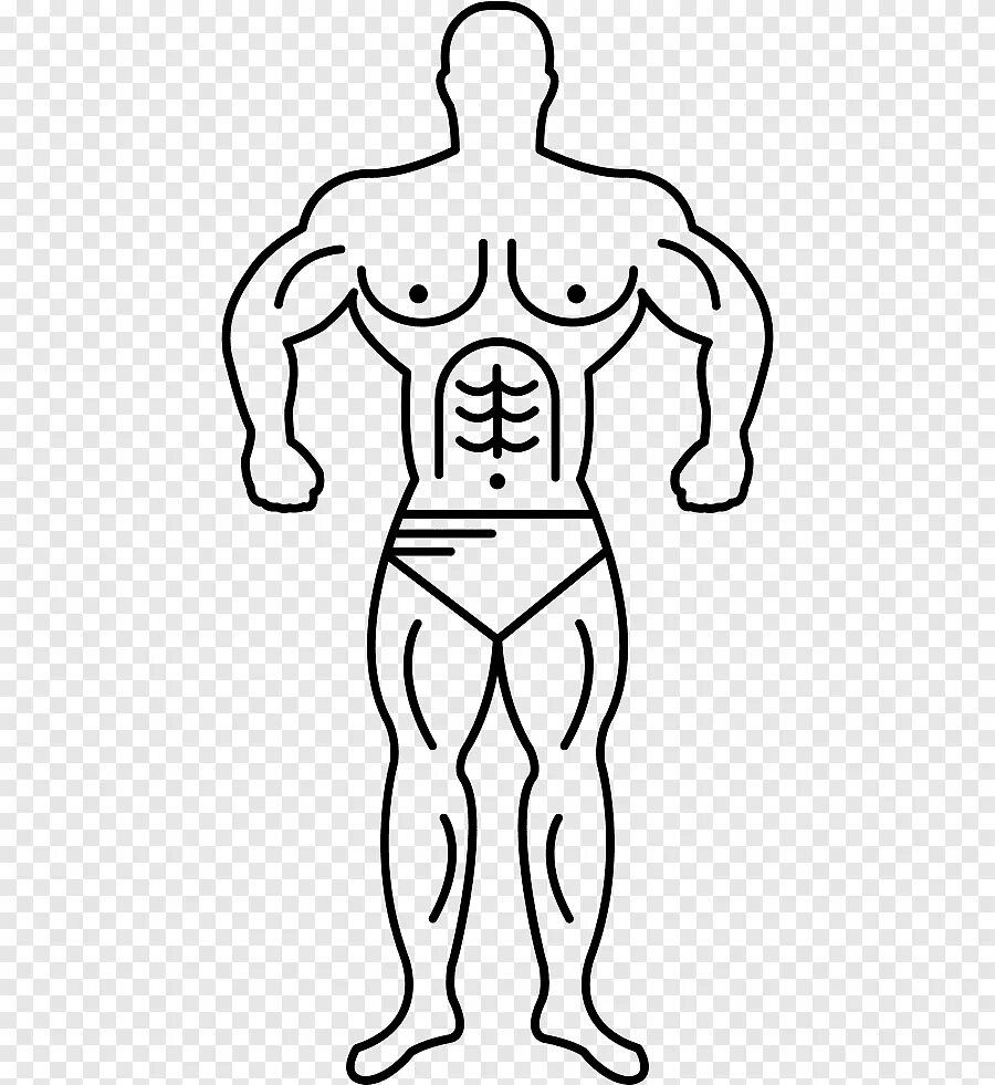 Тело скопировать. Контур тела человека. Силуэт мужской фигуры. Трафарет человека. Тело схематично.