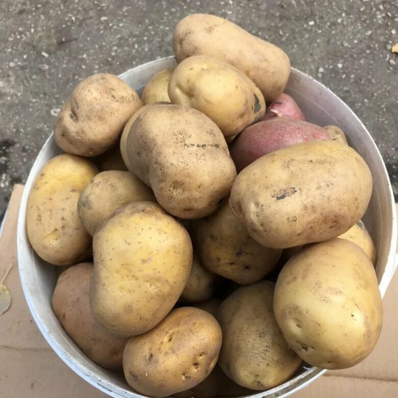 Продается картошка. Картофель фасованный. Продажа картофеля. Продается картошка. Продается картошка.