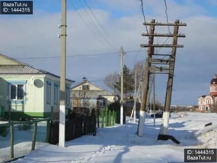 Погода в сокуре