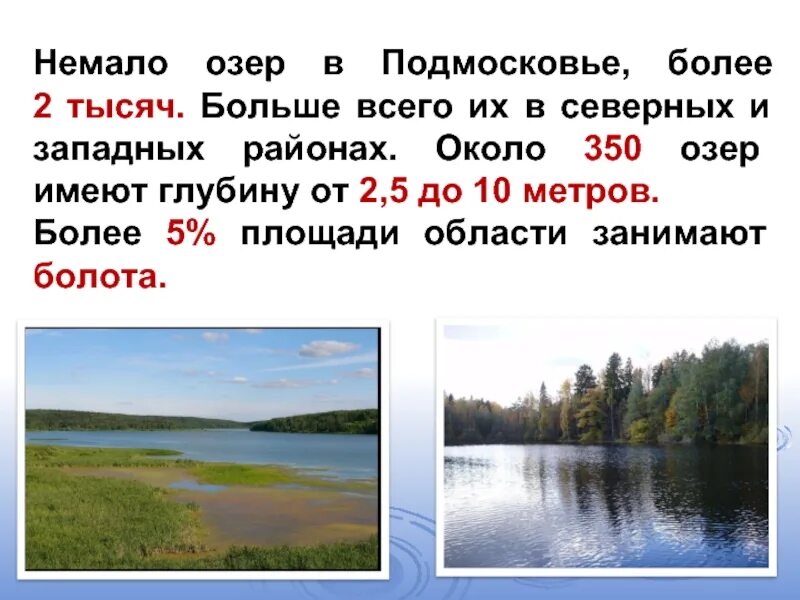 Озеро есть окончание. Крупное озеро в Подмосковье. Озёра Подмосковья список. Самое большое озеро Подмосковья. Крупнейшие озера Московской области.