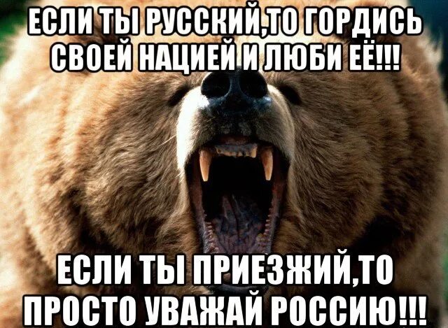 Не люблю национальности. Горжусь Медвежонок. Стих уважай Россию. Русский медведь мемы. И Я горжусь своей нацией.