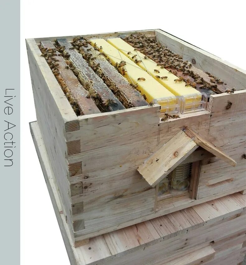 Улей флоу. Ульи Flow Hive. Автоматический улей для пчёл. Автоматические рамки для улья.