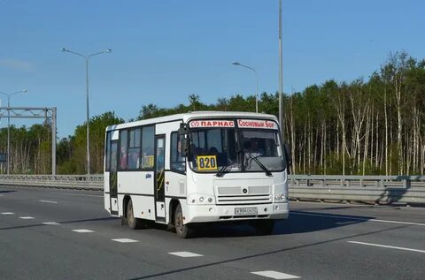 Автобусы сосновый бор васильево