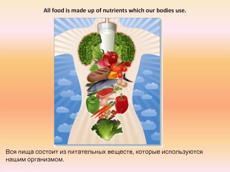 Из чего состоит наше питание. Рисунок на тему пища и питательные вещества. Из чего состоит еда. Из чего состоит наша пища.