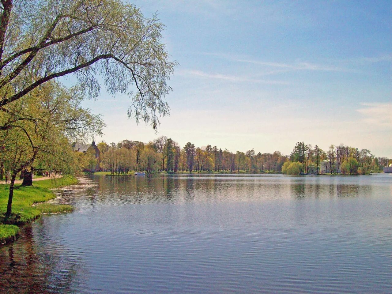 Царское село пруд. Царское село большой пруд. Большой Екатерининский пруд. Царскосельский пруд.