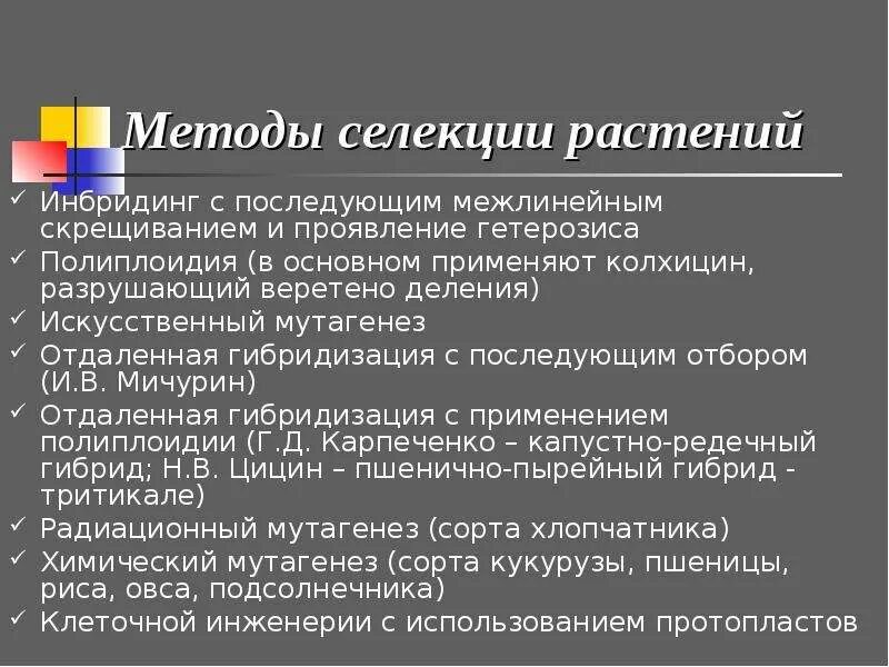 Селекция презентация 10 класс