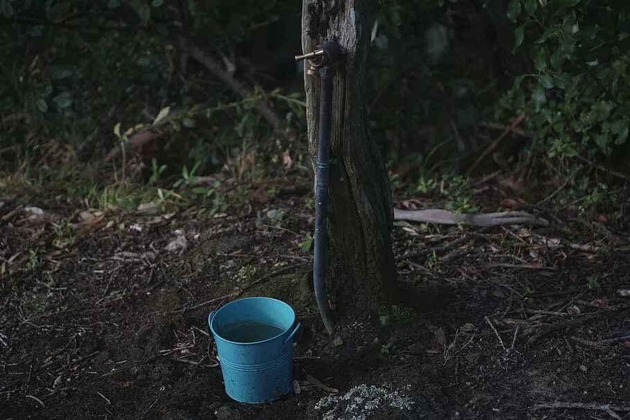 Бездонное ведро воды. Ведро с водой. Ведро воды в лесу. Ведро полное воды. Ведро с водой и окурками.