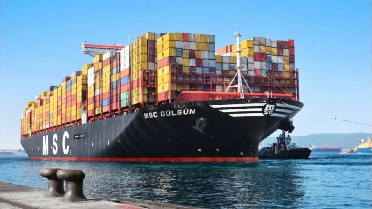 Msc местоположение. Контейнеровоз msc gülsün. maersk и msc. msc tessa контейнеровоз. mediterranean shipping company (msc).