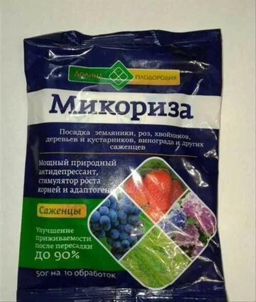 Био микориза. Микориза. микориза для растений. микориза удобрение. микориза для саженцев.