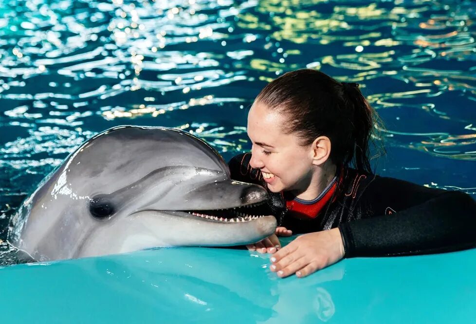 где поплавать с дельфинами в москве. дельфинарий поплавать с дельфинами. плавание с дельфинами в дельфинарии. дельфинарий анапа. дельфинариум в москве.