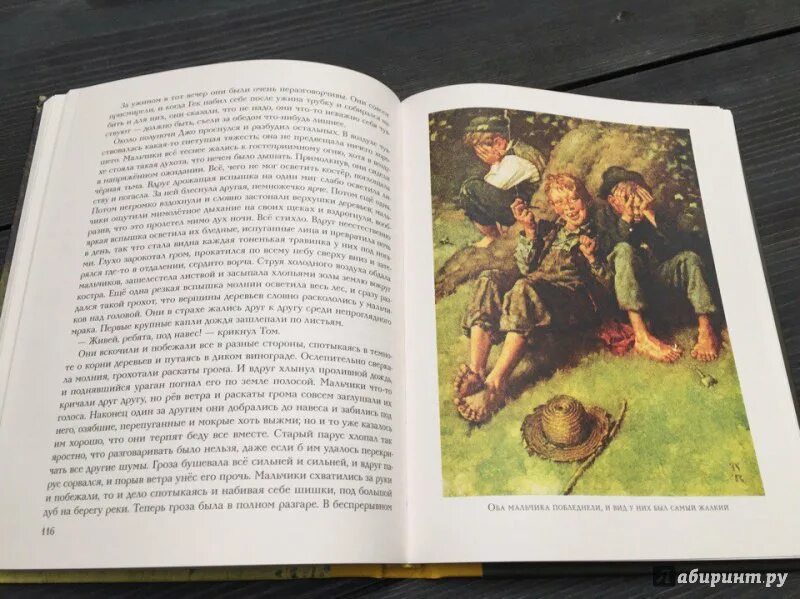 Аннотация к книге том сойер. Приключения тома сойера лабиринт. 5 класс литература иллюстрация к приключения тома сойра. отзыв на приключения тома сойера отзыв.