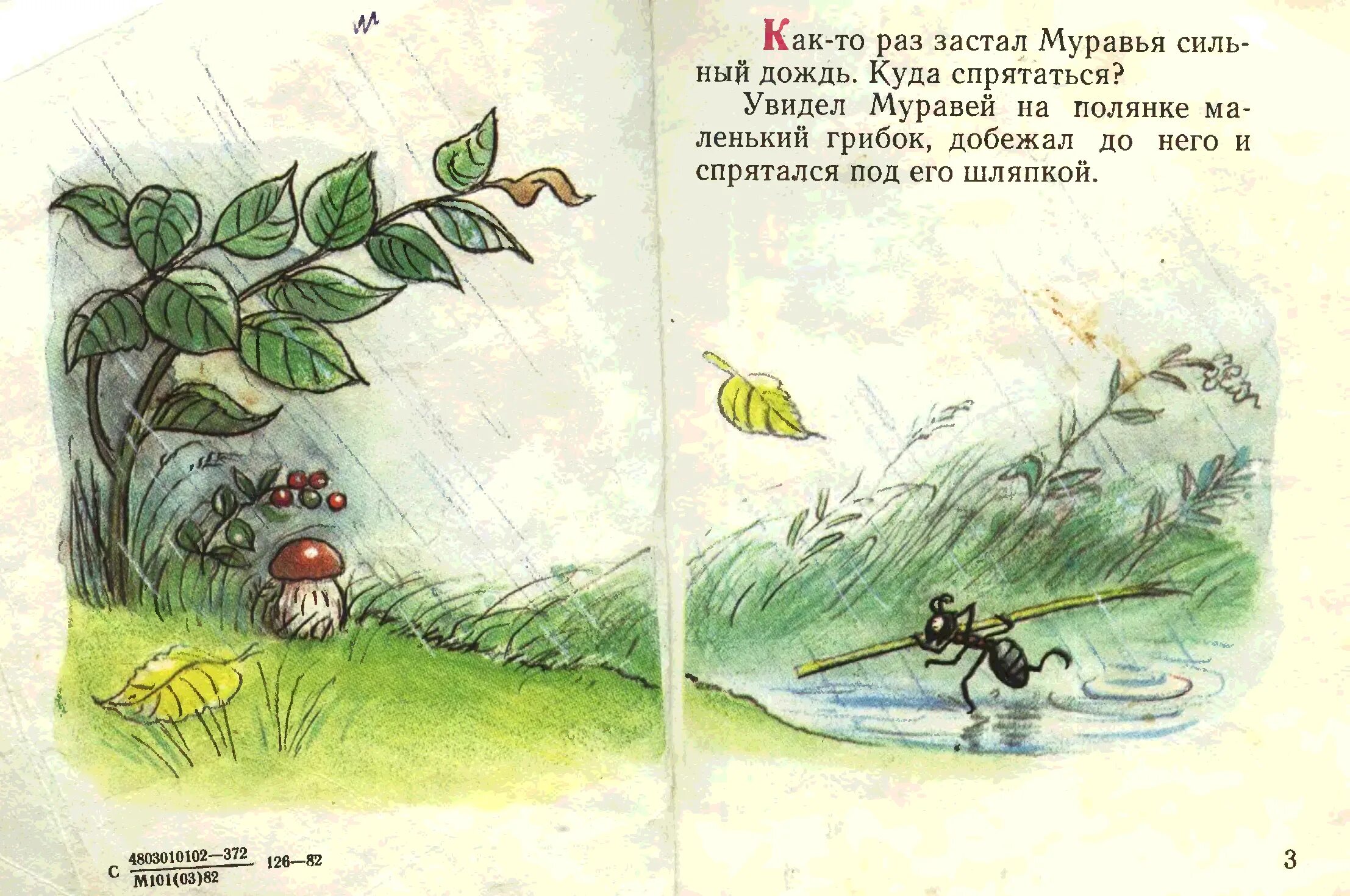 сказка сутеева под грибом текст. сутеев сказки под грибом распечатать. "под грибом сказка". сутеев под грибом иллюстрации. раскраска к сказке под грибом сутеев.