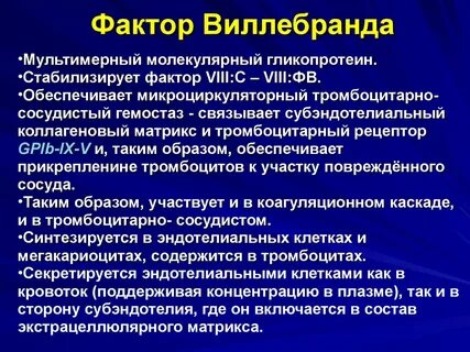 Фактор виллебранда что это такое