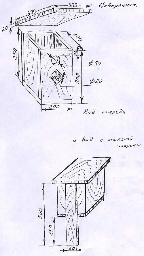 Какой диаметр отверстия в скворечнике. Домик для горихвостки чертеж. Диаметр отверстия в скворечнике для Воробьев. Чертеж скворечник а и размер отверстия для скворца. Диаметр отверстия в скворечнике для Скворцов.