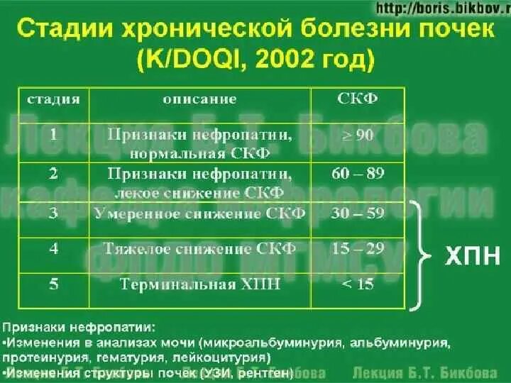 Хбп 4 стадии. Степени почечной недостаточности по СКФ. Хроническая почечная недостаточность. СКФ с4. Хроническая болезнь почек классификация по СКФ. Степень хронической болезни почек по СКФ.