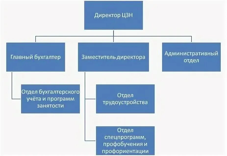 Организационная структура гку центр занятости населения. Организационная структура центра занятости населения схема. Структура управления центра занятости. Организационная структура гку центр занятости населения. Центр занятости населения территориальные отделы.