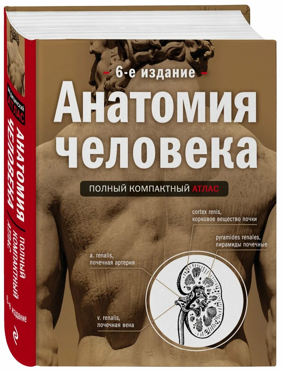 Анатомия книги атласы. Атлас анатомии человека Боянович. Анатомия человека. Полный компактный атлас книга. Анатомия человека ю в Боянович.