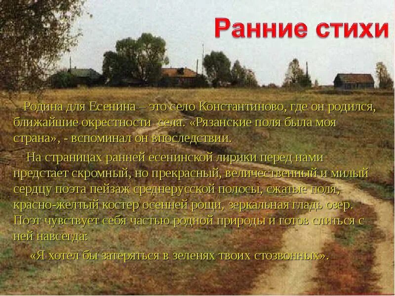 Где поля мои поля текст