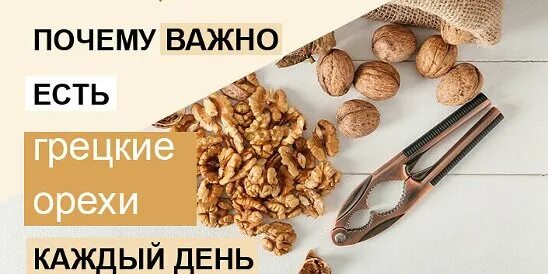 Каждый день ем орехи что будет. Миндаль полезные свойства. Самые полезные орехи. Миндаль полезные свойства. Полезные вещества в орехах.