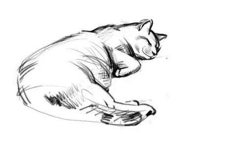 Как нарисовать лежащую кошку
