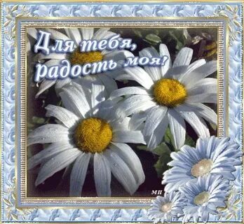 Открытка доброе радость моя