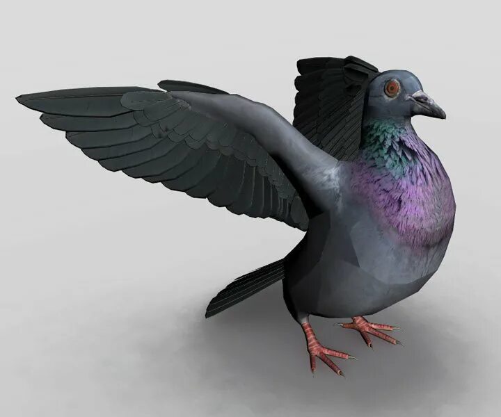 3d bird