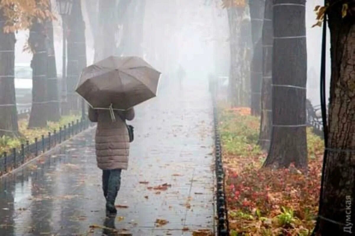 Пасмурный дождливый день. Осень дождь. Пасмурный день. Дождливый осенний день. Идет частый дождь