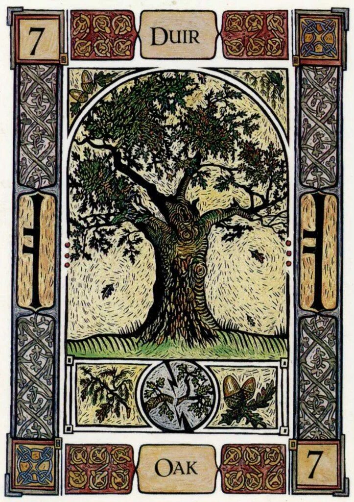 Oracle Cards Celtic Tree оракул Кельтское дерево. Кельтский оракул деревьев (Celtic Tree Oracle). Огам Celtic Tree Oracle карты. Таро огам.