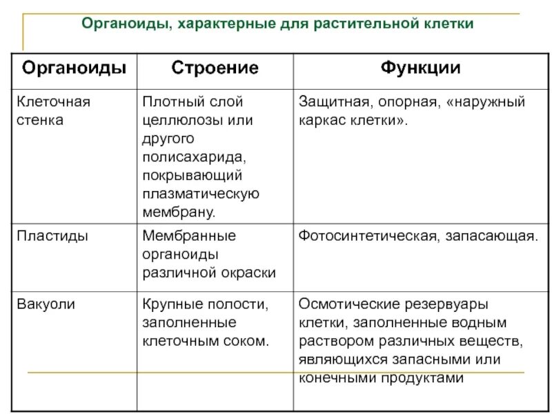 Изменение формы клетки органоид. Органоиды характерные только для растительных клеток. органоиды строение и функции. органоиды характерные для растительной клетки. органоиды характерные для растительной клетки таблица.