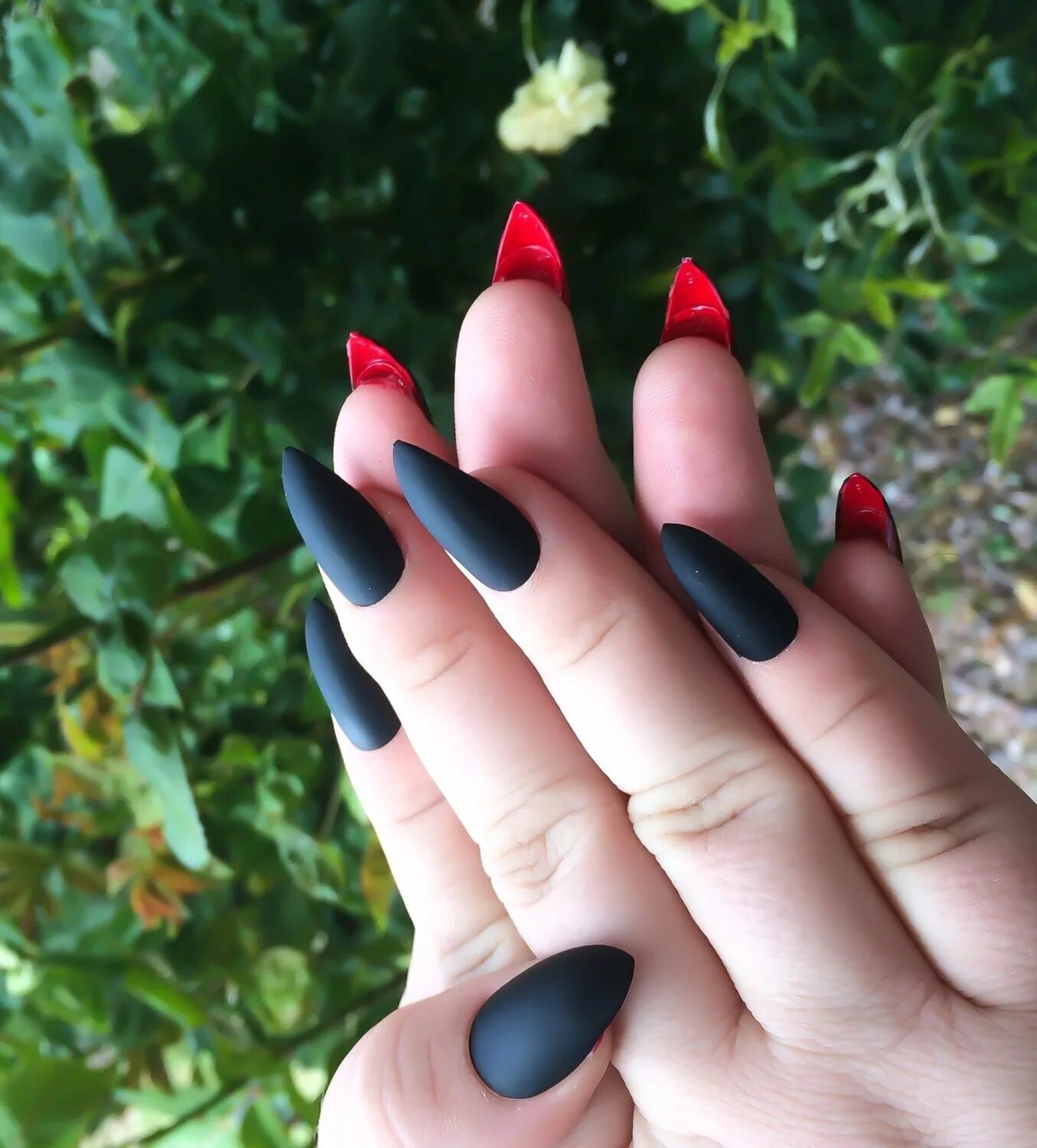 Маникюр одна черная другая. Красные матовые ногти. Черные матовые ногти. Ногти красные с черным. Ногти чёрные с красным матовые.