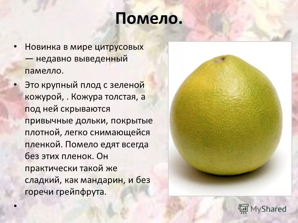 Противопоказания фрукта помело. Помело фрукт. Помело фрукт полезные. Помело калорийность. Помело фрукт витамины.