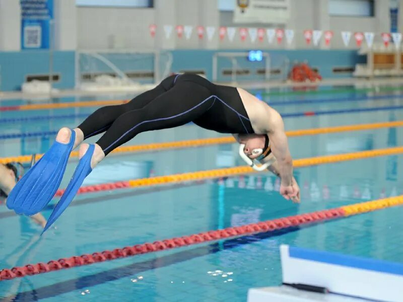 Подводное плавание спорт. Плавание в ярославле в ластах. Ласты для плавания. Мау сш альбатрос, армавир. Евгения казарева ярославль пловец.